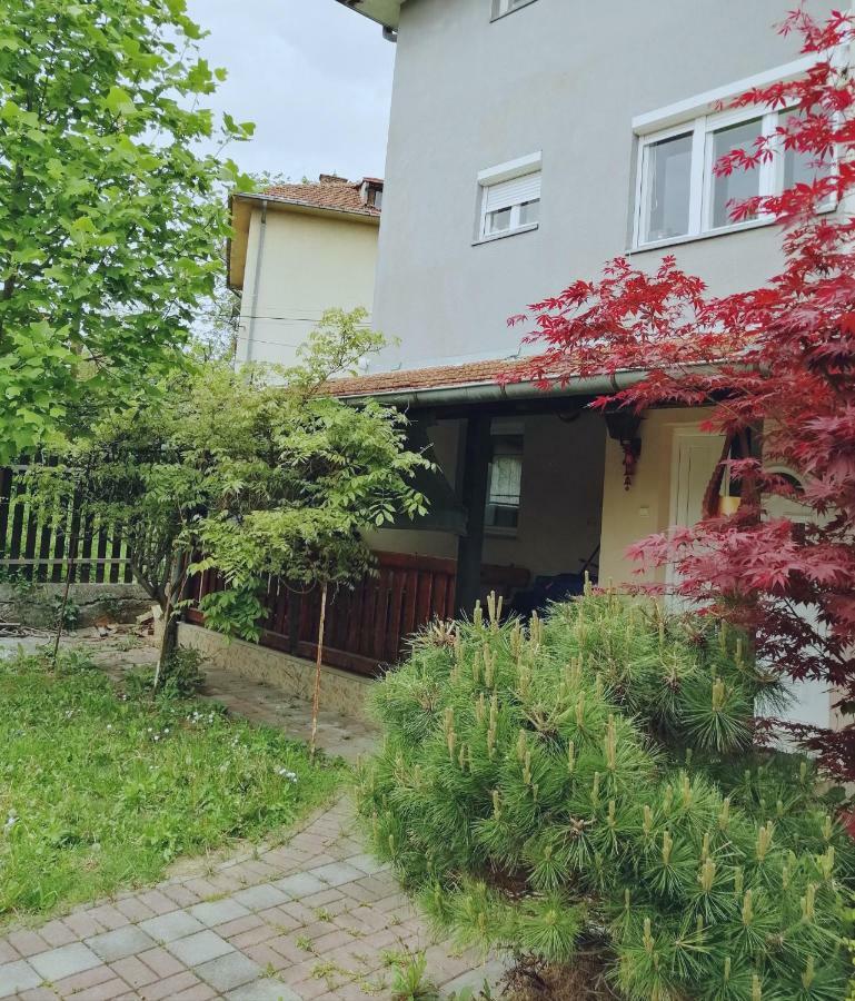 Апартаменты Duplex Mihajlovic-Врнячка-Баня Экстерьер фото